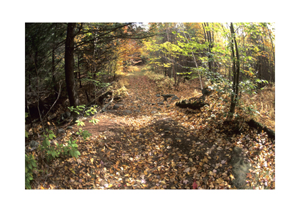 An October Walk